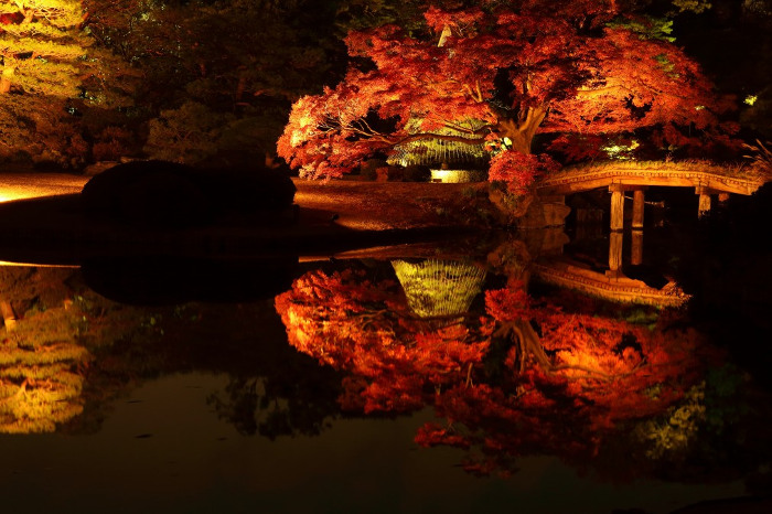 六義園「紅葉と大名庭園のライトアップ」