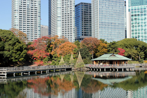 人気紅葉スポット 浜離宮恩賜庭園 Sagaswhat Tokyo 東京を楽しむことが簡単に見つかる Sagaswhat Tokyo 東京を楽しむことが簡単に見つかる