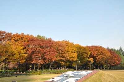 ≪人気紅葉スポット≫ 日比谷公園
