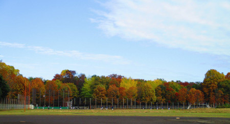 ≪人気紅葉スポット≫ 光が丘公園