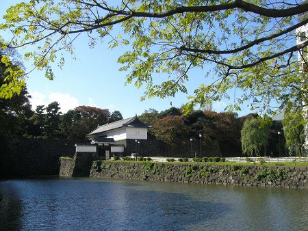 ≪人気紅葉スポット≫ 北の丸公園