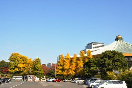 ≪人気紅葉スポット≫ 北の丸公園