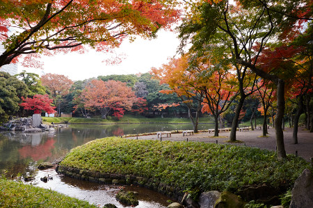 ≪人気紅葉スポット≫ 小石川後楽園