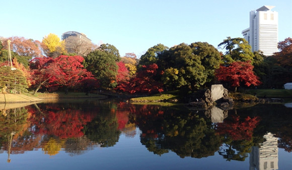 ≪人気紅葉スポット≫ 小石川後楽園