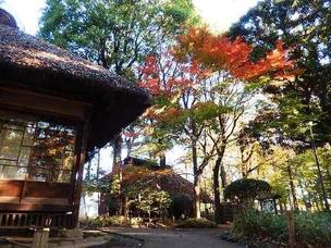 ≪人気紅葉スポット≫ 蘆花恒春園