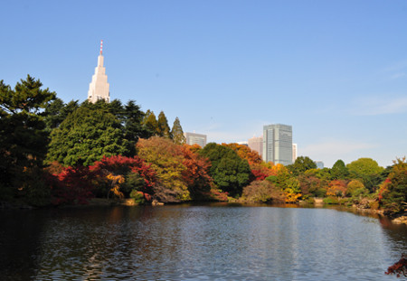 ≪人気紅葉スポット≫ 新宿御苑