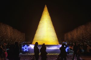 Winter Vista Illumination(ウインタービスタイルミネーション)