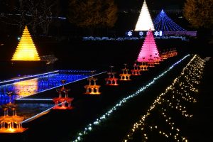 Winter Vista Illumination(ウインタービスタイルミネーション)