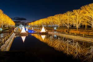 Winter Vista Illumination(ウインタービスタイルミネーション)