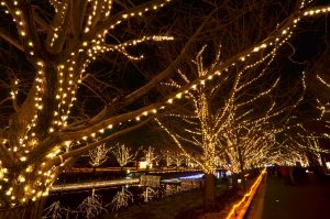 Winter Vista Illumination(ウインタービスタイルミネーション)