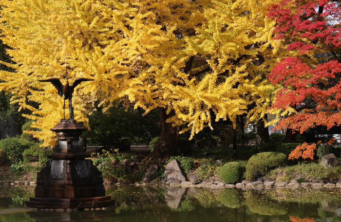 ≪人気紅葉スポット≫ 日比谷公園