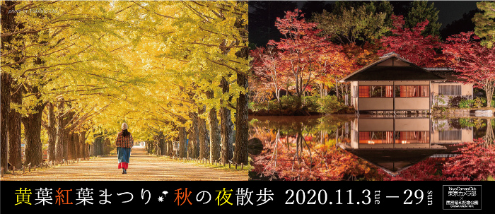 国営昭和記念公園「黄葉紅葉まつり/秋の夜散歩」