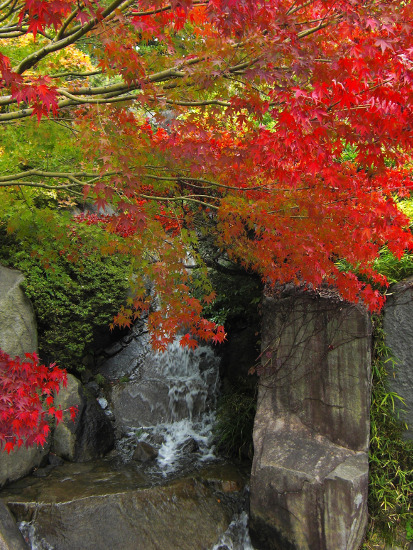 ≪人気紅葉スポット≫ 目白庭園