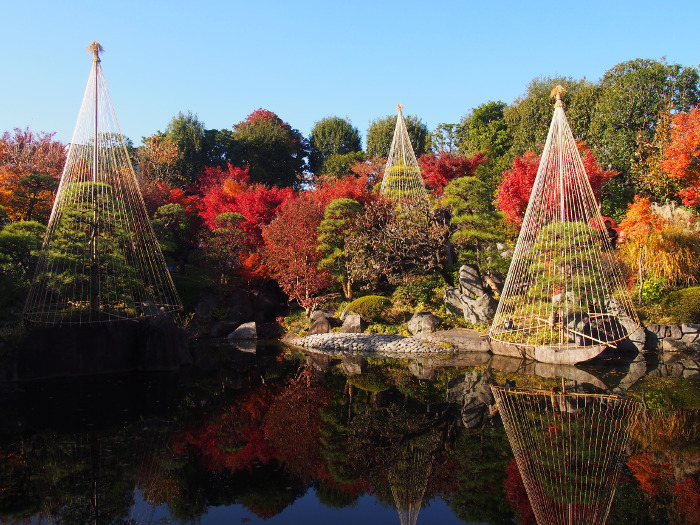 ≪人気紅葉スポット≫ 目白庭園
