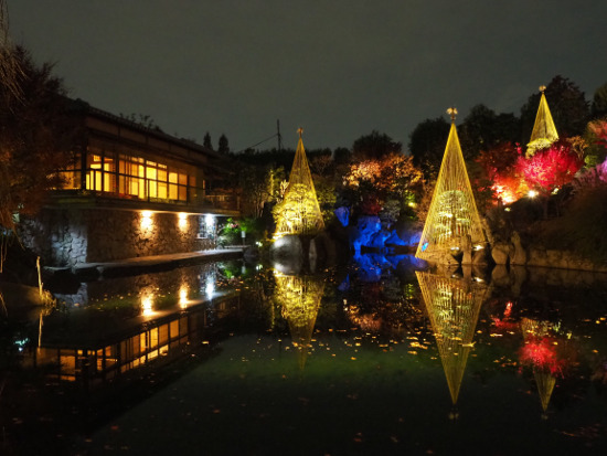 目白庭園「秋の庭園ライトアップ」