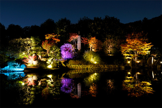 目白庭園「秋の庭園ライトアップ」