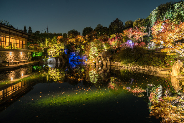 目白庭園 庭園の紅葉ライトアップ Sagaswhat Tokyo 東京を楽しむことが簡単に見つかる