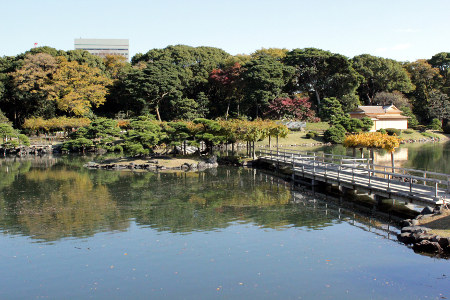≪Famous Autumn Foliage Spots≫ Hama-rikyu Gardens