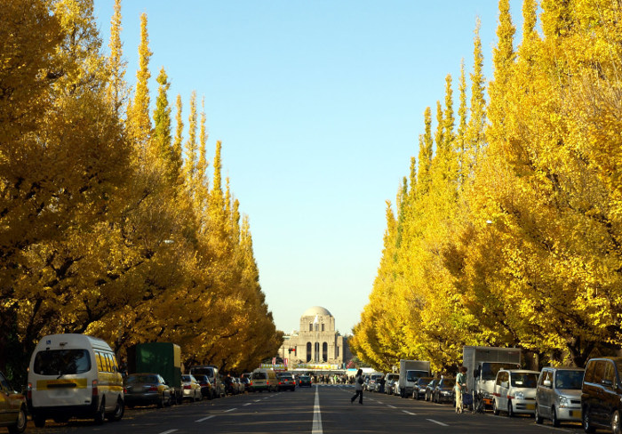 ≪Autumn Foliage Spots≫ Meijijingu gaien