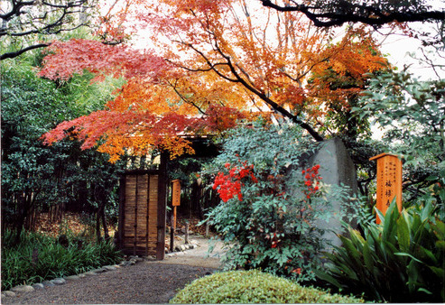 ≪Famous Autumn Foliage Spots≫ Mukojima-Hyakkaen Gardens