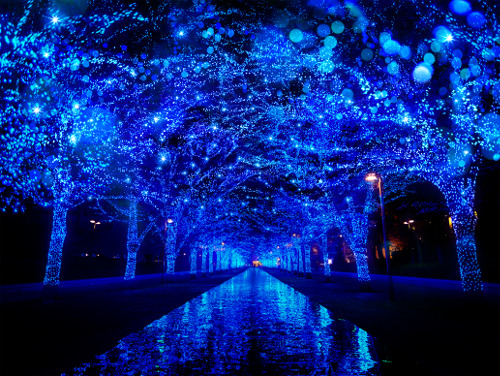 "Blue Grotto" SHIBUYA Illumination