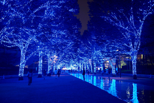 "Blue Grotto" SHIBUYA Illumination