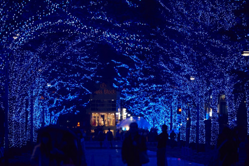 "Blue Grotto" SHIBUYA Illumination