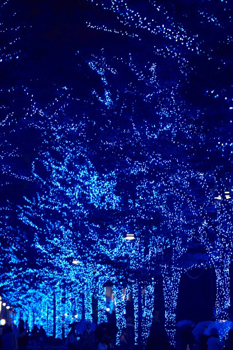 "Blue Grotto" SHIBUYA Illumination