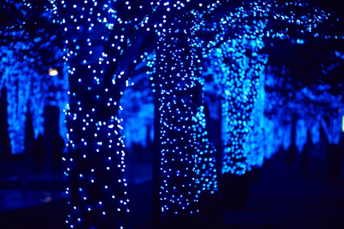 "Blue Grotto" SHIBUYA Illumination