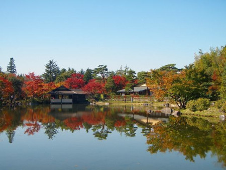 ≪Famous Autumn Foliage Spots≫ Showa Kinen Park
