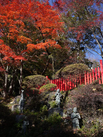 ≪Famous Autumn Foliage Spots≫ Mt. Takao