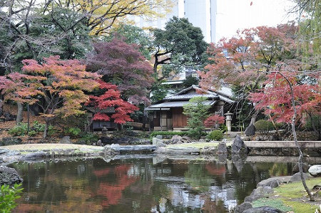 ≪Autumn Foliage Spots≫ Yasukuni Jinja Shrine