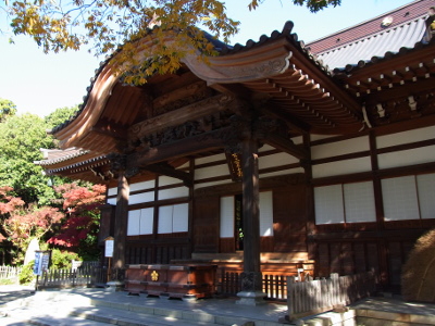 ≪Hatsumode Spot≫ Jindaiji Temple