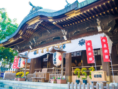 ≪Hatsumode Spot≫ Omiya Hachimangu Shrine