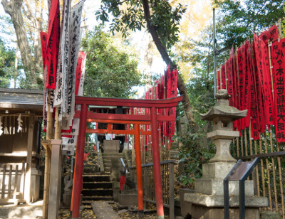 ≪Hatsumode Spot≫ Yoyogi Hachimangu Shrine