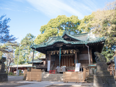 ≪Hatsumode Spot≫ Yoyogi Hachimangu Shrine
