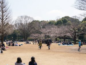 Kitanomaru Park | SagasWhat TOKYO - Find the best time for fun