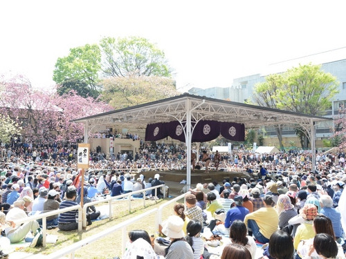 Spring Festival sumo wrestling tournament (Yasukuni Jinja Shrine)