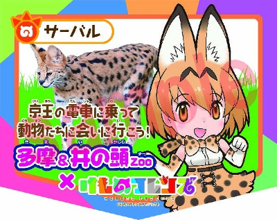 Tama & Inokashira Zoo × ‘Kemono Friends’ Stamp Rally