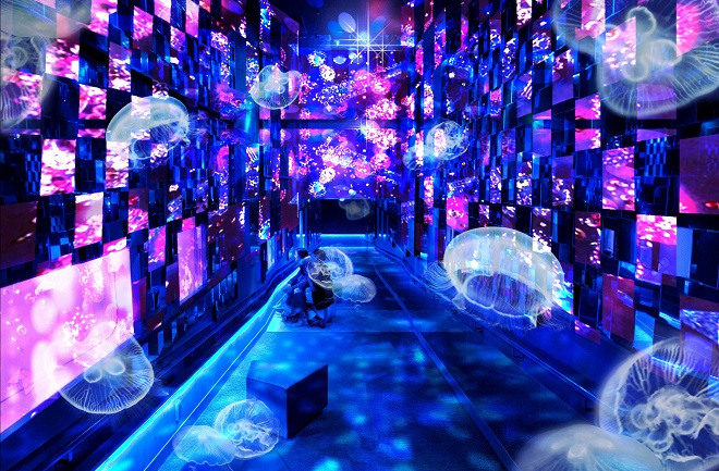 Fairy tale in Aquarium (Sumida Aquarium)