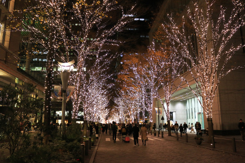 Marunouchi Illumination