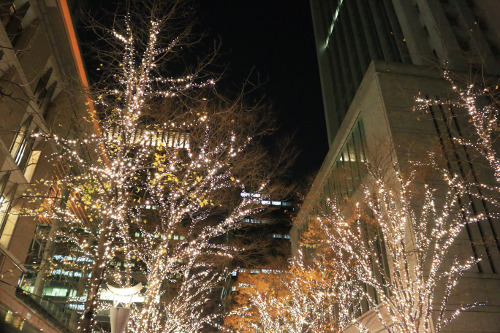 Marunouchi Illumination