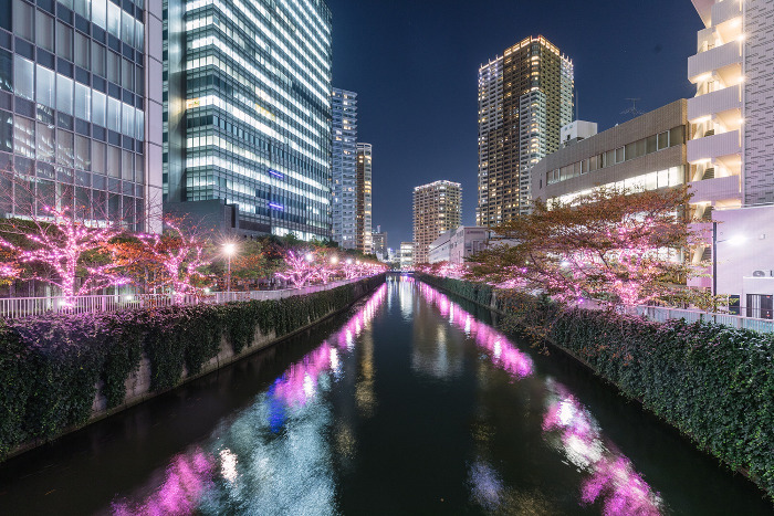 Megurogawa Minna no Illumination (Meguro River)