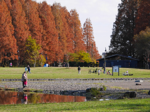 ≪Autumn Foliage Spots≫ Mizumoto Park