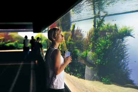 Takashi Amano NATURE AQUARIUM Exhibition