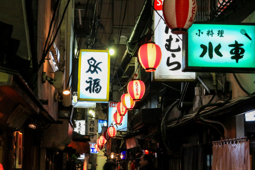 Tokyo yokocho alley guide