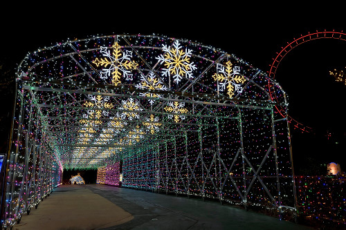 Seibu Amusement Park Winter Illumination