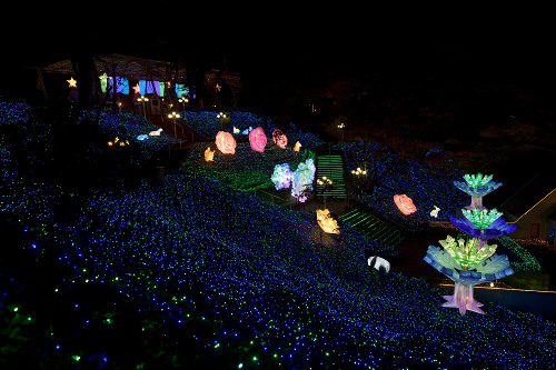 Seibu Amusement Park Winter Illumination