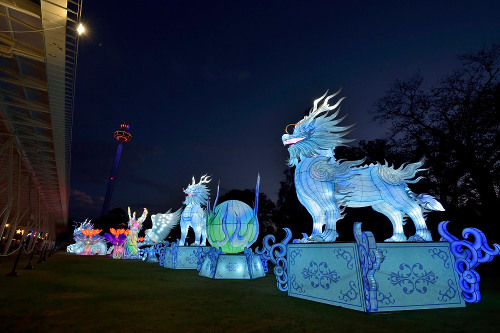 Seibu Amusement Park Winter Illumination