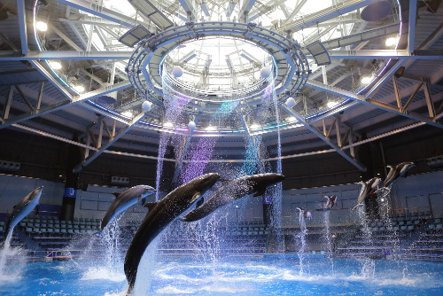 SAKURA AQUARIUM Directed BY NAKED (Aqua Park Shinagawa)